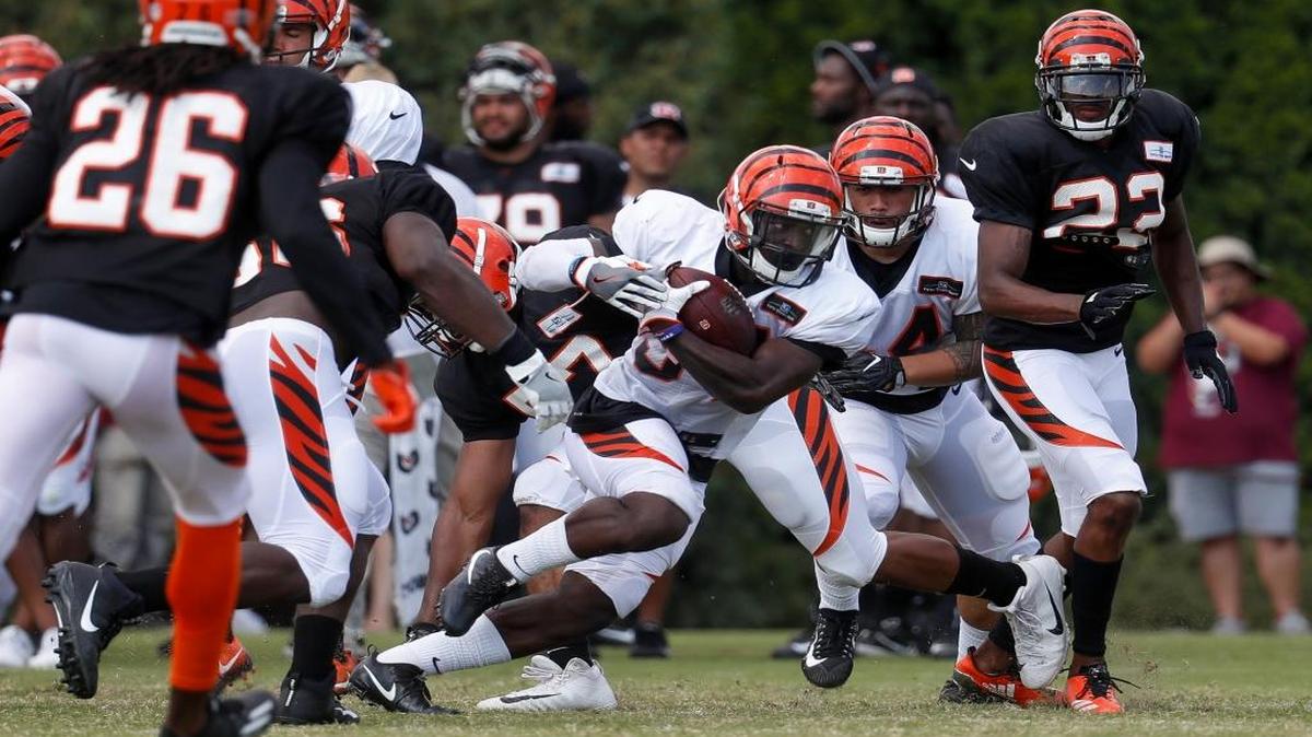 Cincinnati Bengals running back Boom Williams, center, runs a play during an NFL football training camp, Monday, July 31, 2017, in Cincinnati.