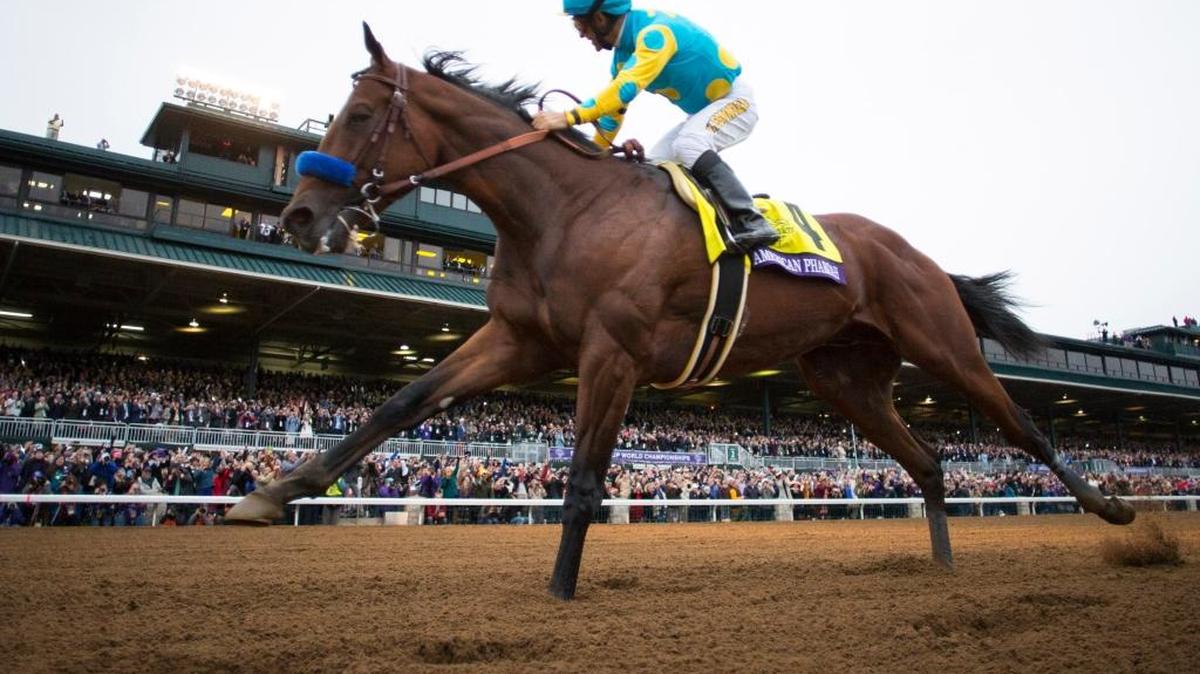 American Pharoah with Victor Espinoza up wins the Breeders' Cup Classic at the 2015 Breeders' Cup at Keeneland Race Course Saturday October 31, 2015.