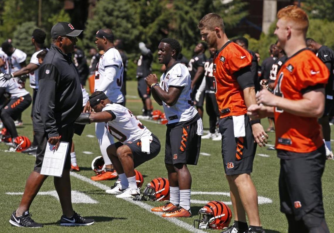 Cincinnati Bengals Coach Marvin Lewis chatted with Stanley “Boom” Williams (34), center, and quarterbacks Jeff Driskell (6) and Andy Dalton (14) during a practice at Paul Brown Stadium in Cincinnati on Tuesday. The ex-Cat signed as an undrafted free agent with the Cincinnati Bengals.