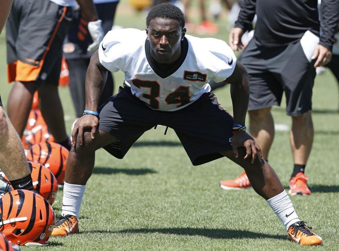 Stanley “Boom” Williams (34) stretched during a practice at Paul Brown Stadium in Cincinnati on Tuesday. The ex-Cat signed as an undrafted free agent with the Cincinnati Bengals.