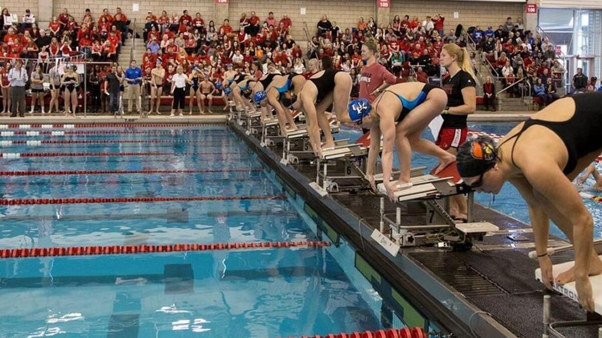 Louisville’s men’s and women’s teams swept victories from Kentucky on Saturday at the Cardinals’ Ralph Wright Natatorium.