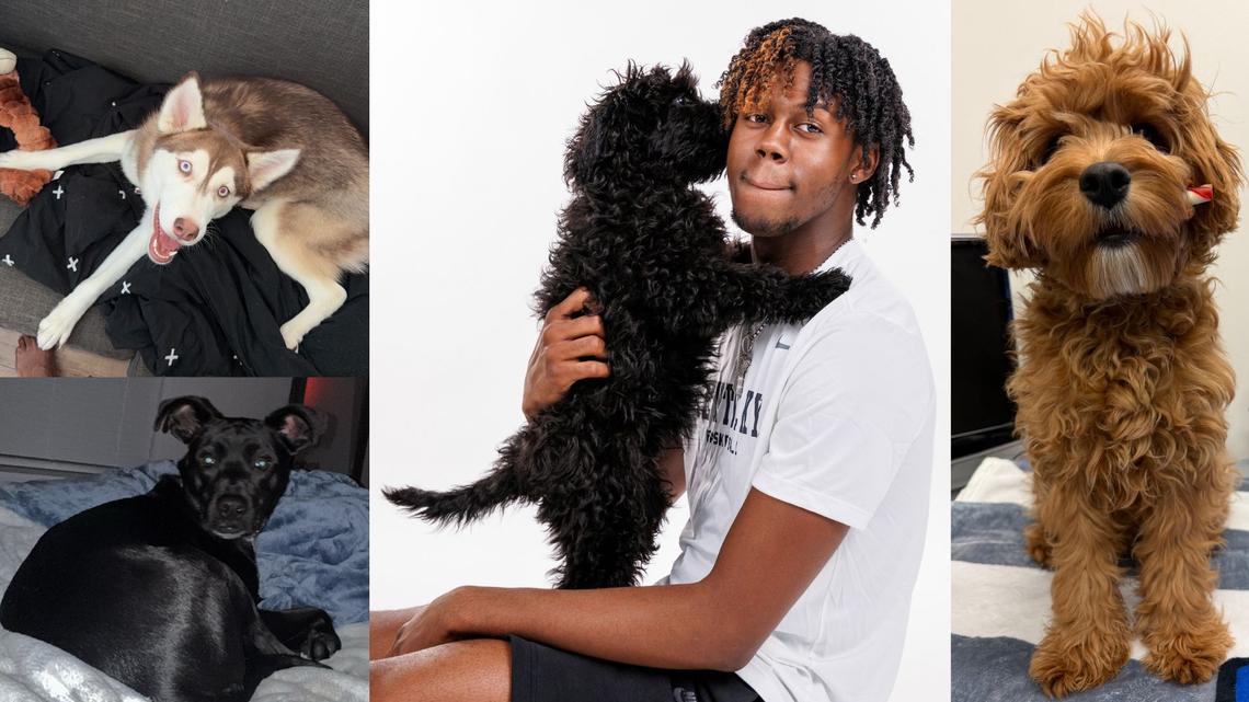 ‘He’s there for me’: These Kentucky basketball players love their dogs