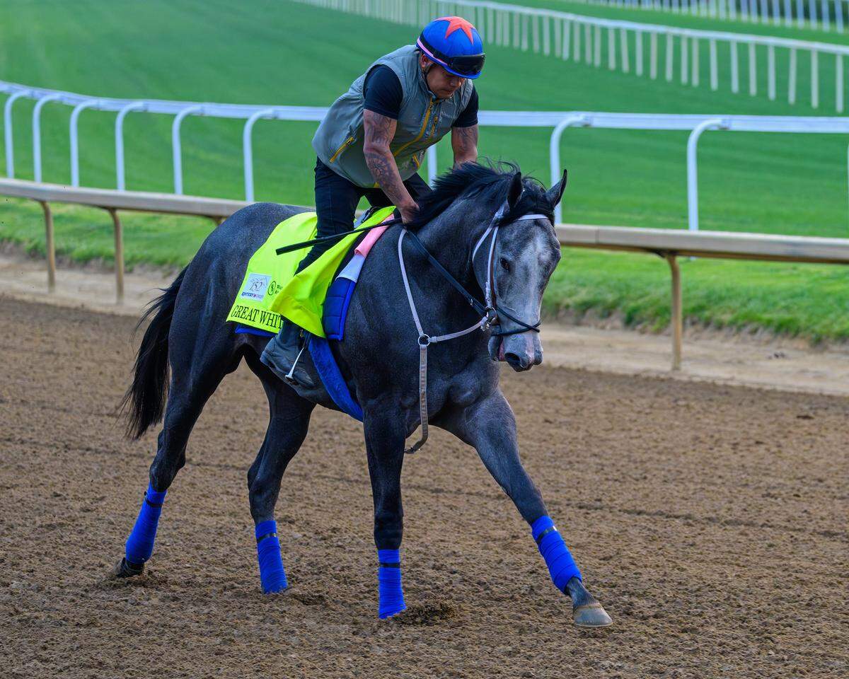 Great White is one of the largest horses in the 2026 Kentucky Derby field.
