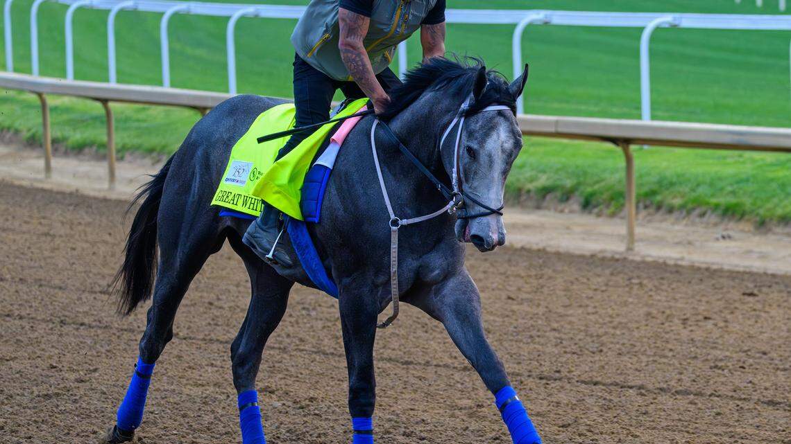 Want to ‘bet the gray’ in the 2026 Kentucky Derby? There are two options.