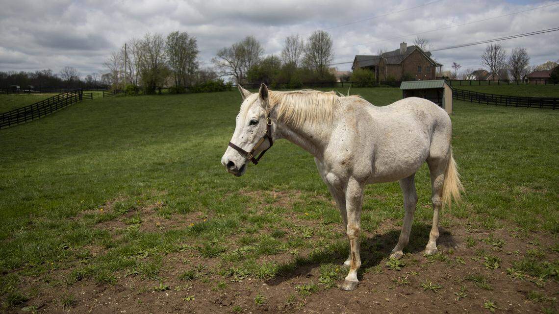 There are 21 living Kentucky Derby winners. Here’s where they all are now
