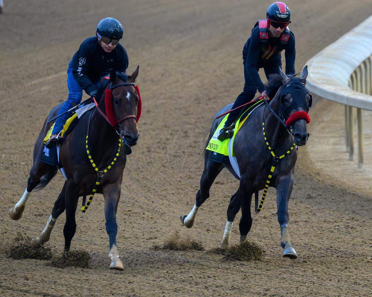 Pavolvian (right) is trained by Doug O’Neill.