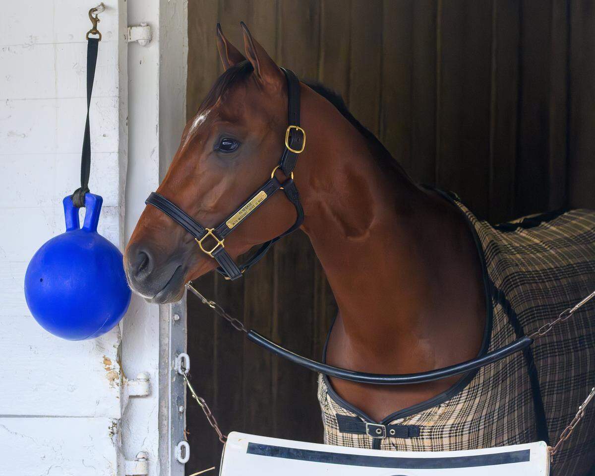 Renegade at Churchill Downs on April 26.