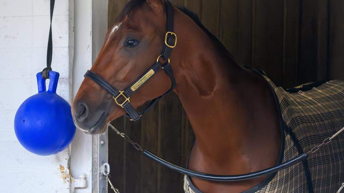 A run through the field: Odds and info on every 2026 Kentucky Derby contender