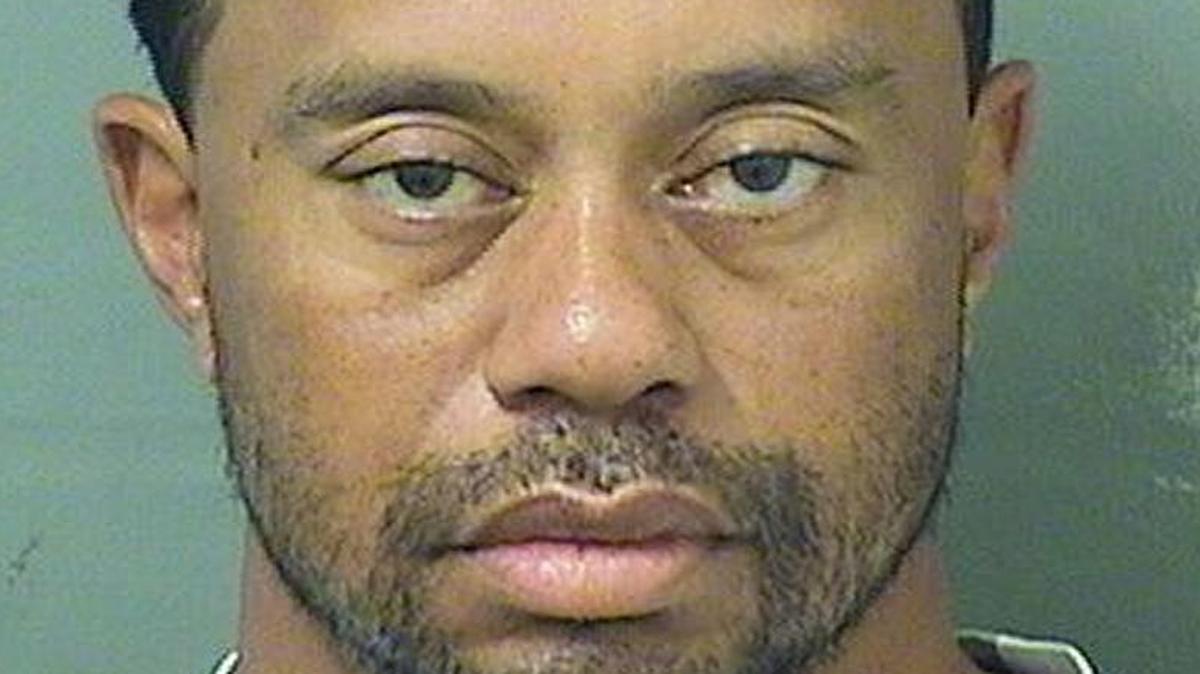 Tiger Woods' booking image in 2017. (Palm Beach County Sheriff)