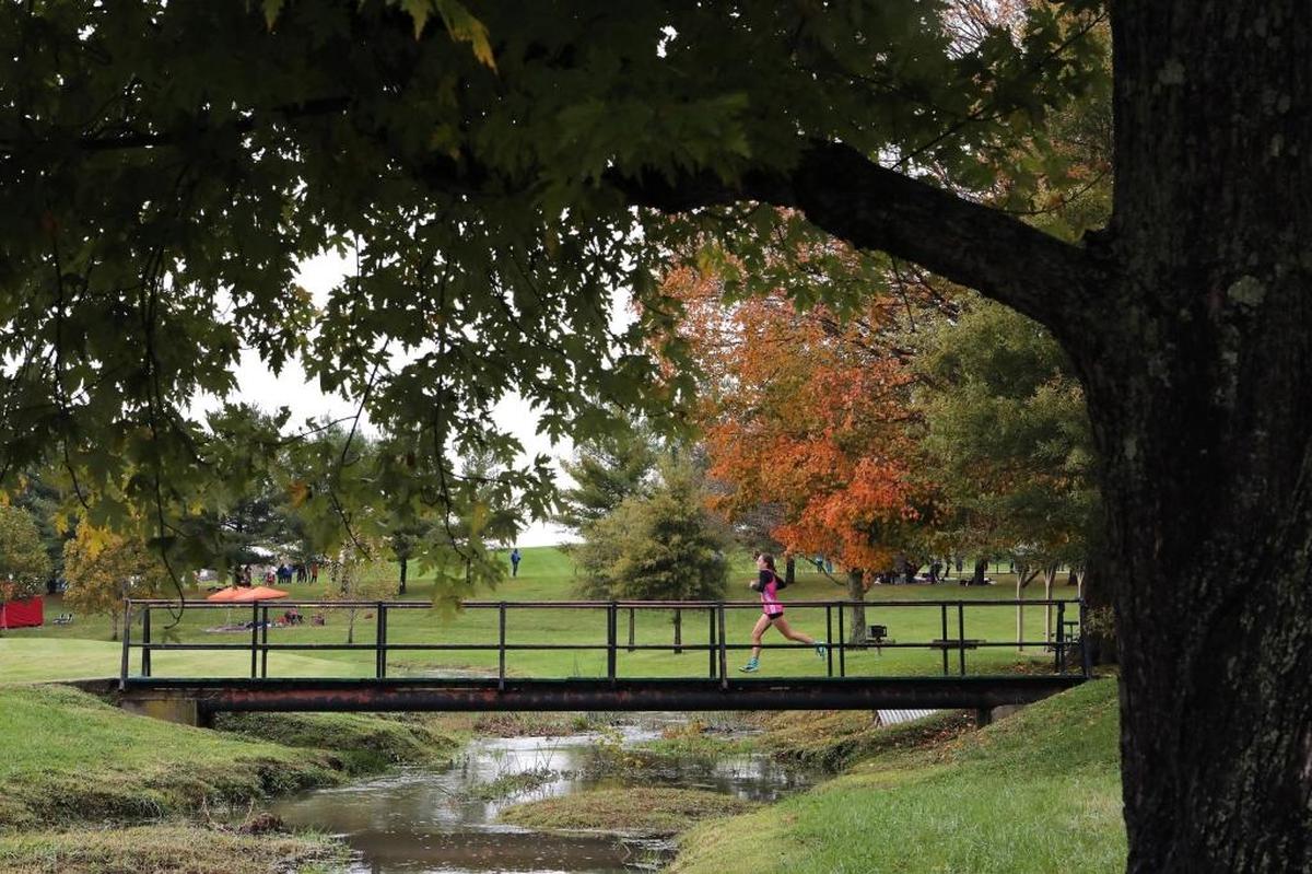 Tates Creek's Jenna Strange was all alone as she crossed the bridge during the Region 6 3A cross country championships at Lykins Park in Winchester, Ky., Saturday, October 28, 2017.