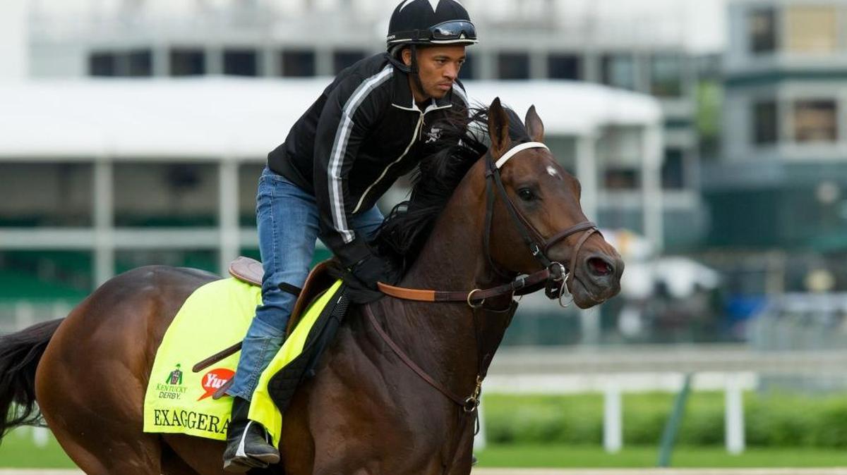 Derby 142 hopeful Exaggerator with Peedy Landry up were on the track for training, Wednesday, May 04, 2016 at Churchill Downs in Louisville.