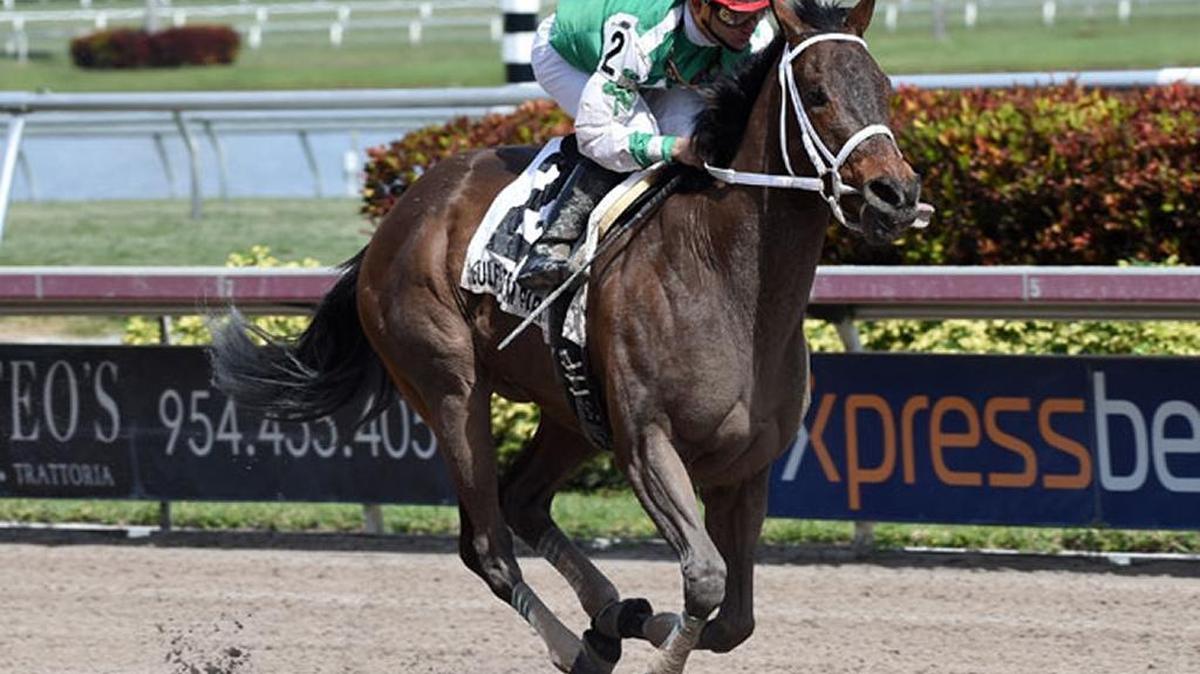 Cathryn Sophia is the even-money favorite for Saturday’s Grade I Central Bank Ashland Stakes at Keeneland on Saturday.