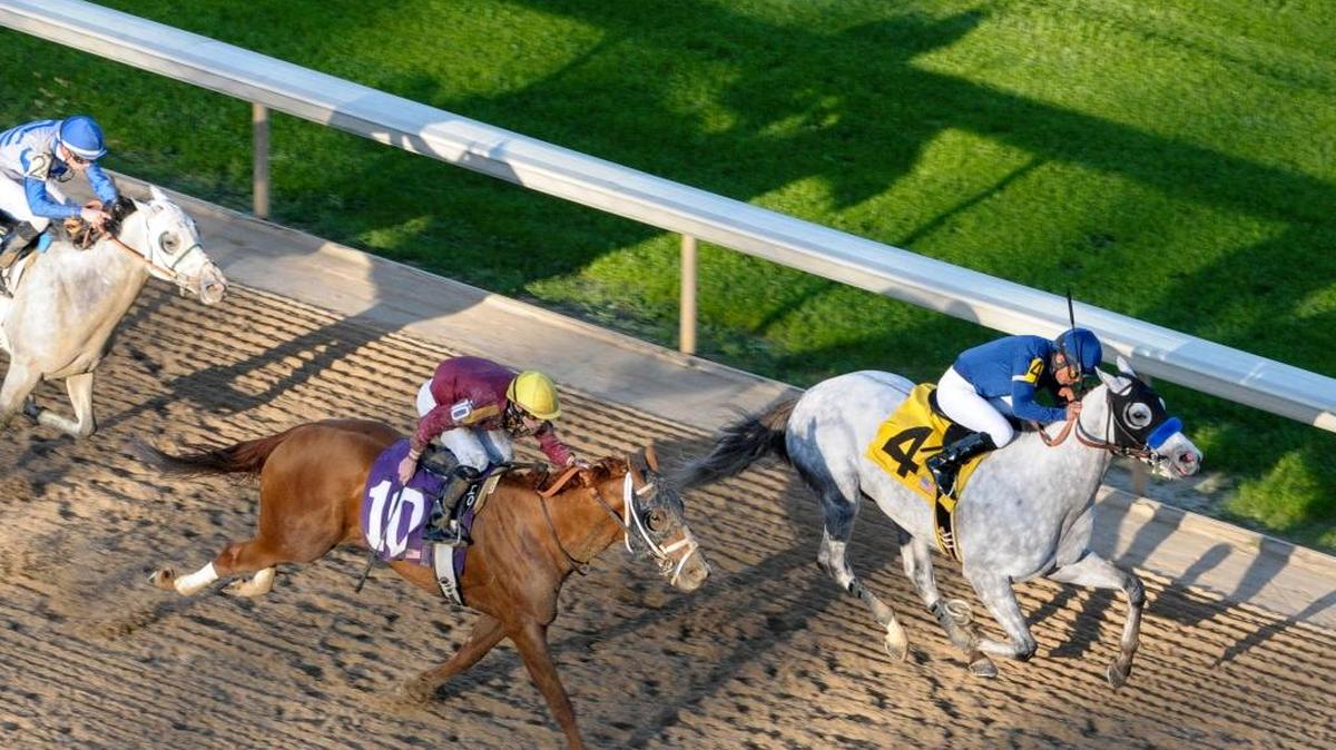 Cupid, right, with Martin Garcia aboard, pulled away from Whitmore, front left, with Irad Ortiz Jr. aboard, and Gray Sky, far left, with Florent Geroux aboard, in the stretch of the Rebel Stakes at Oaklawn Park in Hot Springs, Ark., on March 19. Whitmore finished in second place.