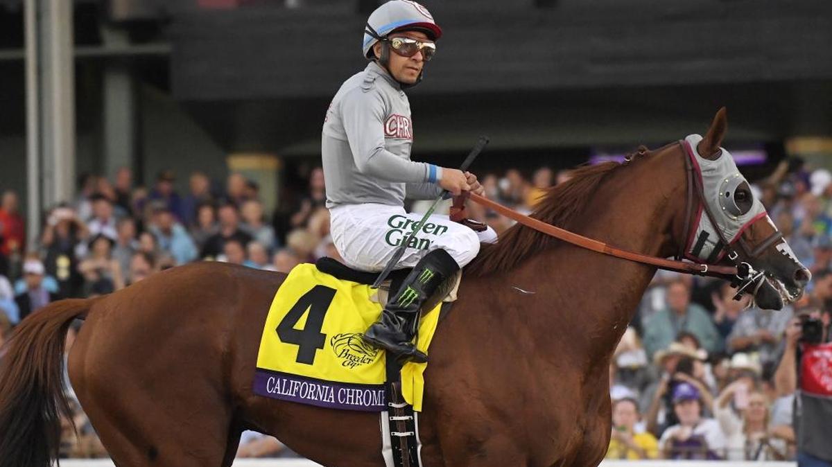 California Chrome with Victor Espinoza rides back after taking second in the Breeders' Cup Classic horse race at Santa Anita, Saturday, Nov. 5, 2016, in Arcadia, Calif.
