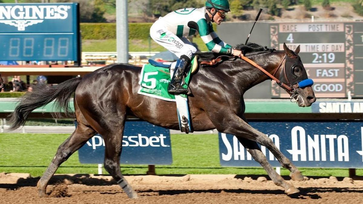 Mor Spirit and jockey Gary Stevens win the Grade II $150,000 Robert B. Lewis Stakes Saturday, February 6, 2016 at Santa Anita Park in, Arcadia, Calif.