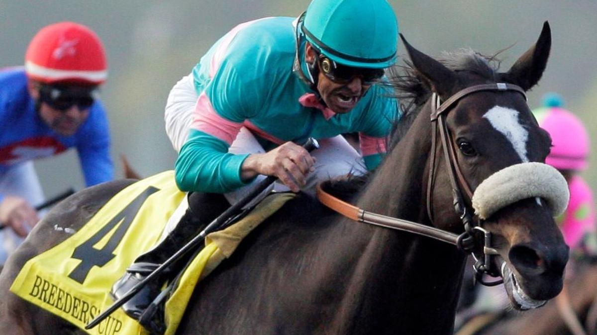 Zenyatta, ridden by jockey Mike Smith, raced to the finish line to win the 2009 Breeders’ Cup Classic.