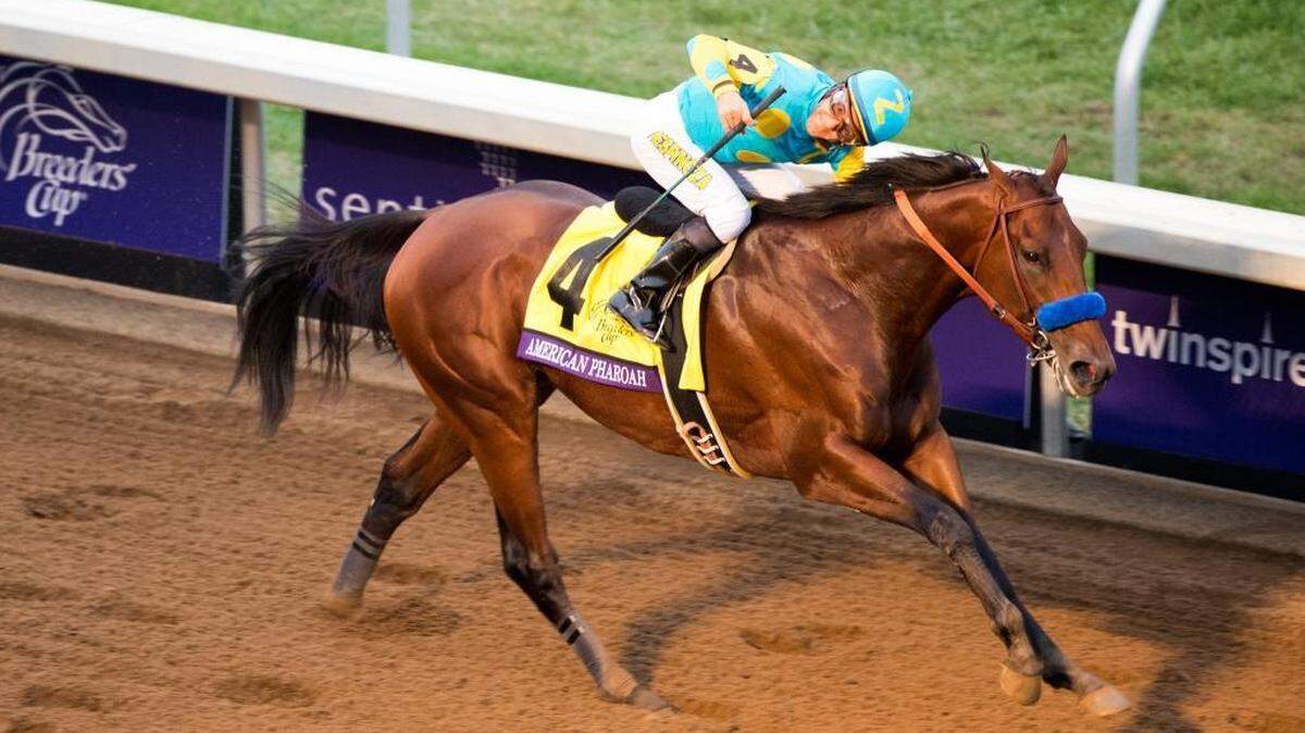 American Pharoah with Victor Espinoza up won the Breeders' Cup Classic at Keeneland Race Course in Lexington, Ky. on Saturday Oct. 31, 2015.