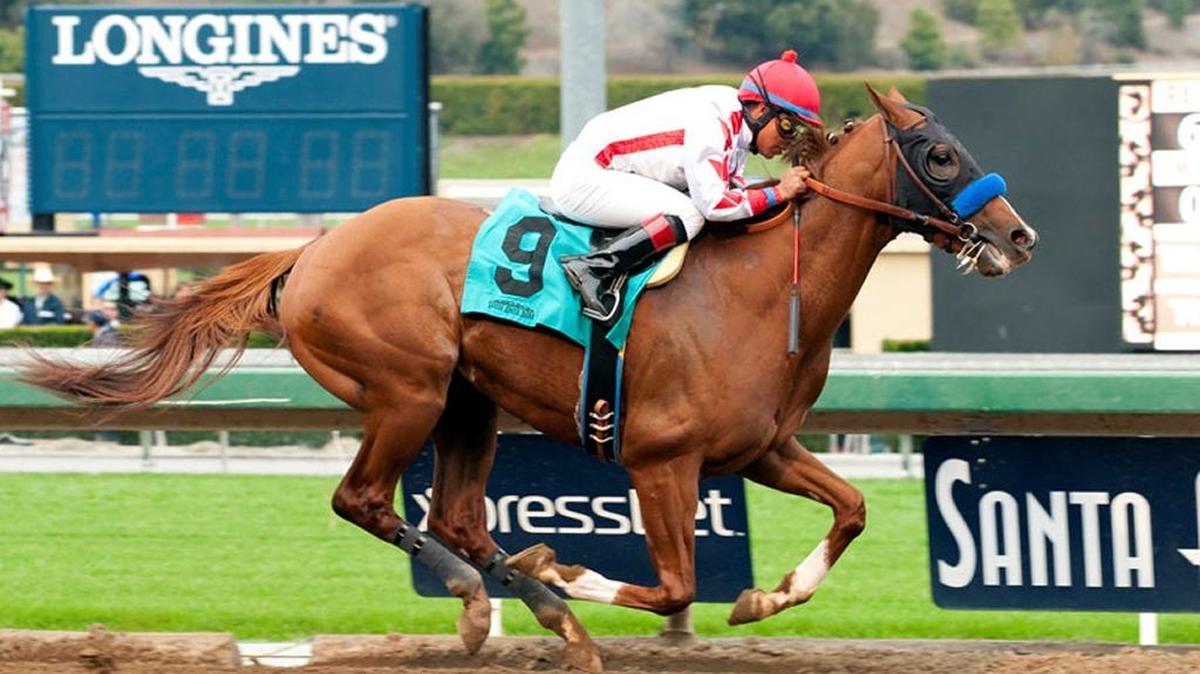 Collected won the Sham Stakes at Santa Anita on Jan. 9.