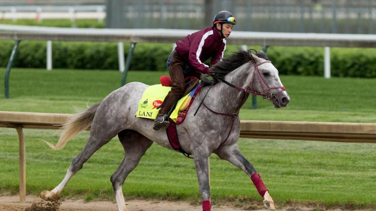 Lani worked with rider Eishu Maruuchi at Churchill Downs in the days leading up to the Kentucky Derby. Lani and Exaggerator are the only horses who will contest all three Triple Crown races this season.