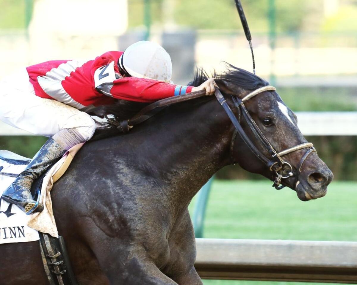 McCraken won the Matt Winn at Churchill Downs.
