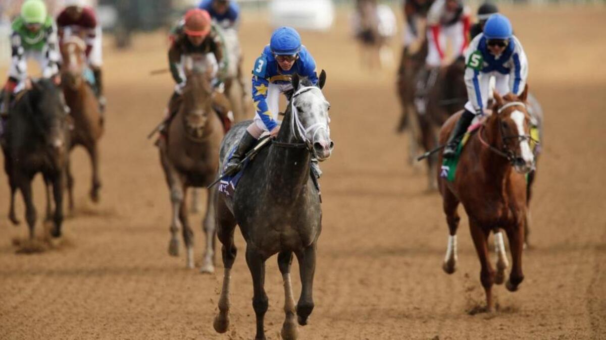 Liam's Map with Javier Castellano up (3), passed the grandstand after winning the seventh race, the Las Vegas Breeder's Cup Dirt Mile during the 2015 Breeder's Cup at Keeneland Race Course in Lexington, Ky., on Oct. 30, 2015. Liam's Map with Javier Castellano up won the race.