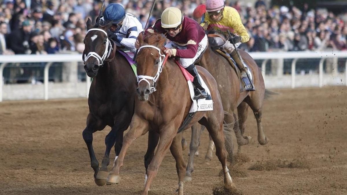 Sheer Drama wins the Grade I Madison Stakes under jockey Joe Bravo at Keeneland Race Course in Lexington on Saturday, April 9, 2016.