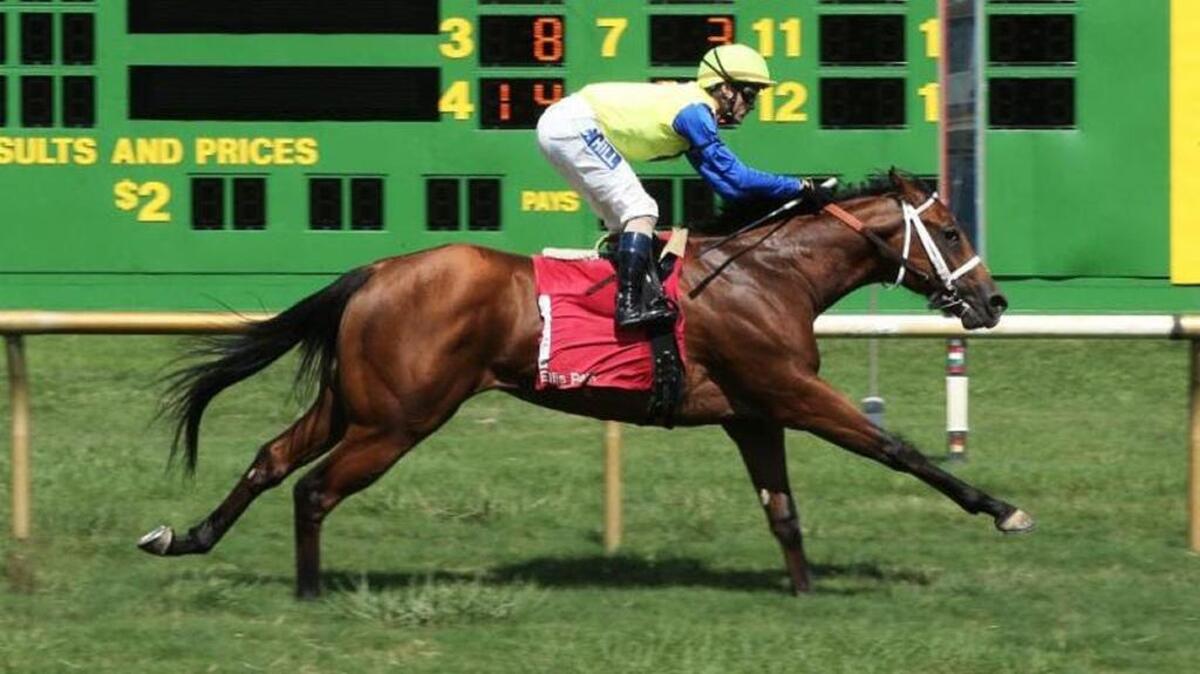 The start of the 2017 Kentucky Downs live racing meet has been postponed until Wednesday.