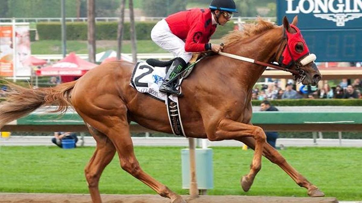 Smokey Image won the California Cup at Santa Anita on Jan. 30 by 8 1/2 lengths.