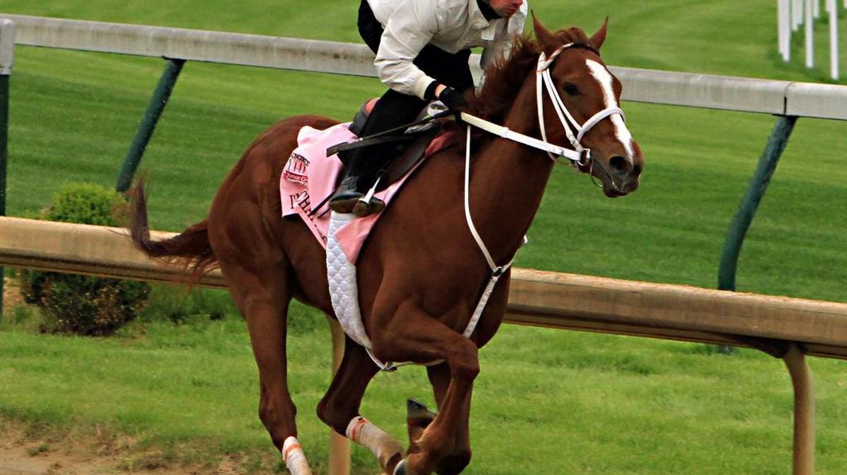 I’m a Chatterbox, ridden by jockey Florent Geroux, worked out at Churchill Downs last April.