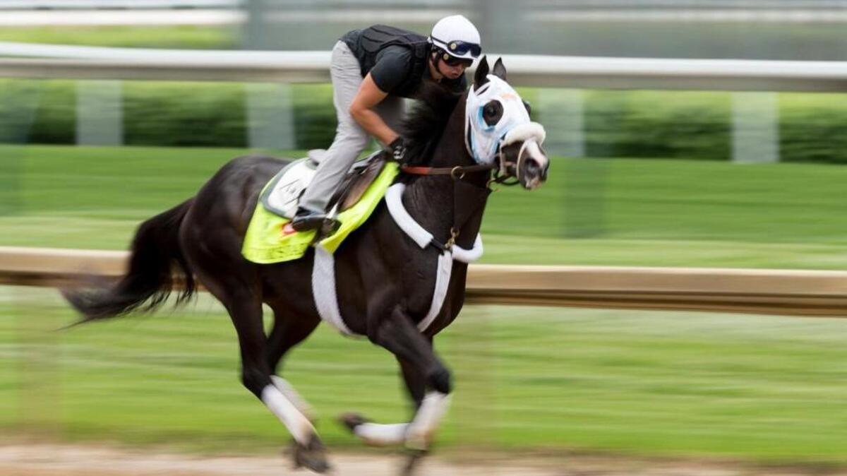 Derby 142 hopeful Tom's Ready with Emerson Chavez up were on the track for training, Tuesday, May 03, 2016 at Churchill Downs in Louisville.