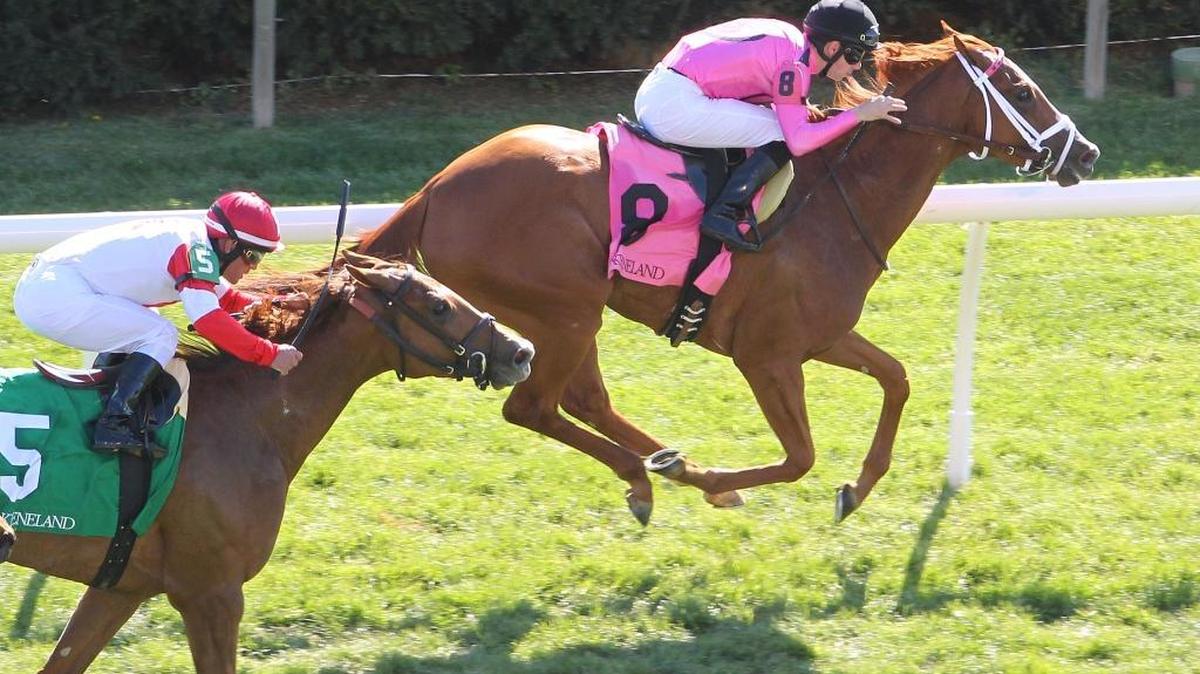 Catch a Glimpse held strong to earn a 3/4 -length win in the one-mile Appalachian Stakes to remain unbeaten in five career starts on the turf.
