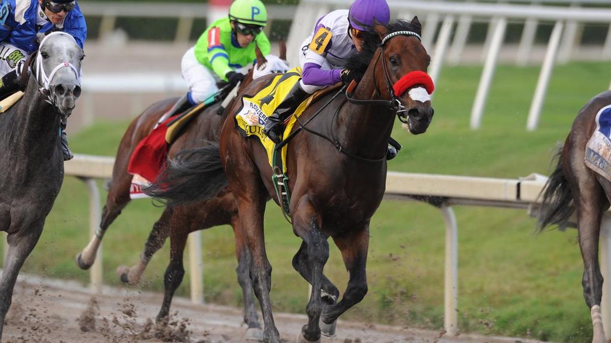 Nyquist, center, ridden by Mario Gutierrez, races past the field on there way to winning the Florida Derby horse race, Saturday, April 2, 2016, at Gulfstream Park in Hallandale Beach, Fla.
