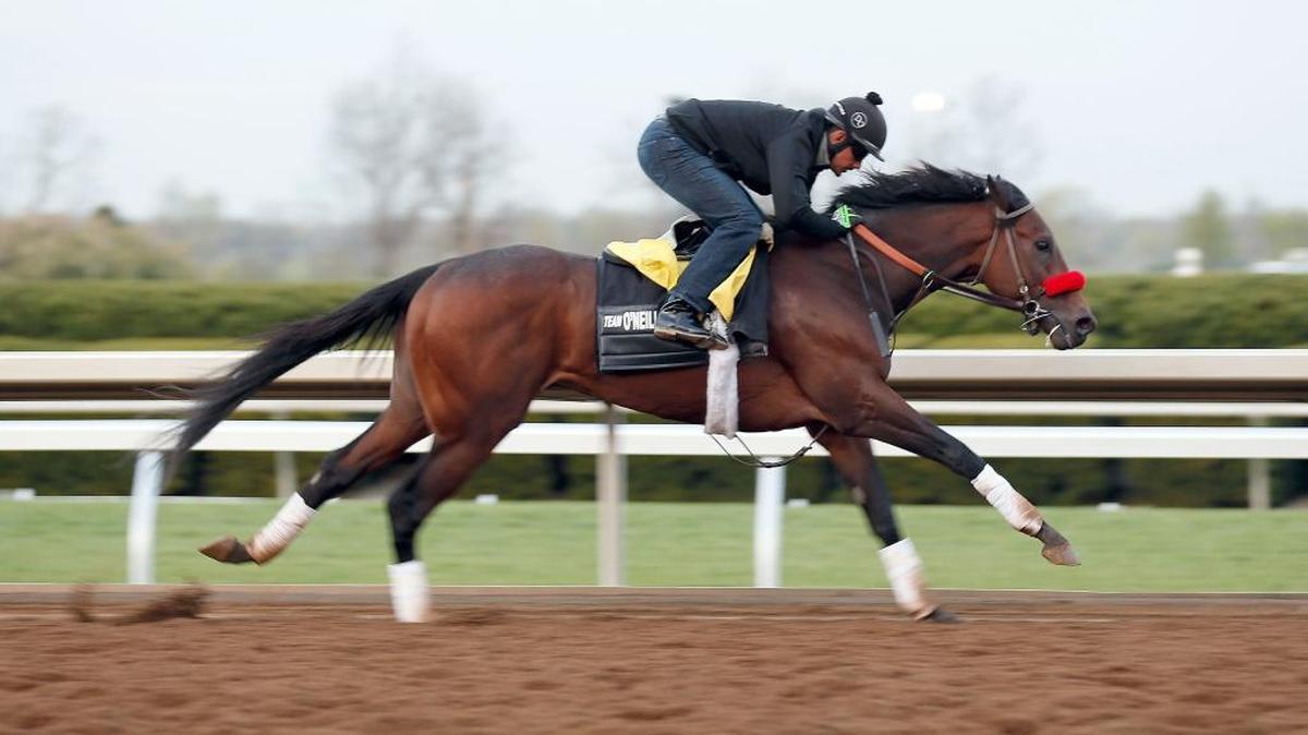 Unbeaten Kentucky Derby favorite Nyquist is scheduled for another workout Friday at Keeneland.