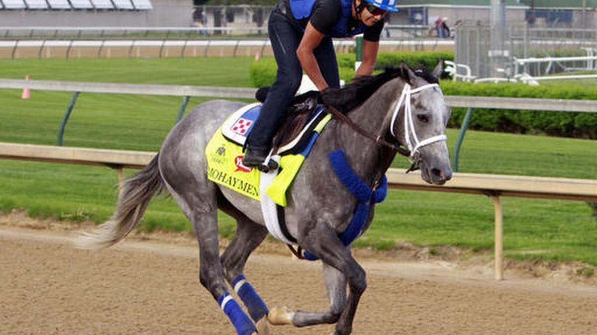 In this April 26, 2016 file photo, Kentucky Derby hopeful Mohaymen gallops at Churchill Downs in Louisville, Ky.