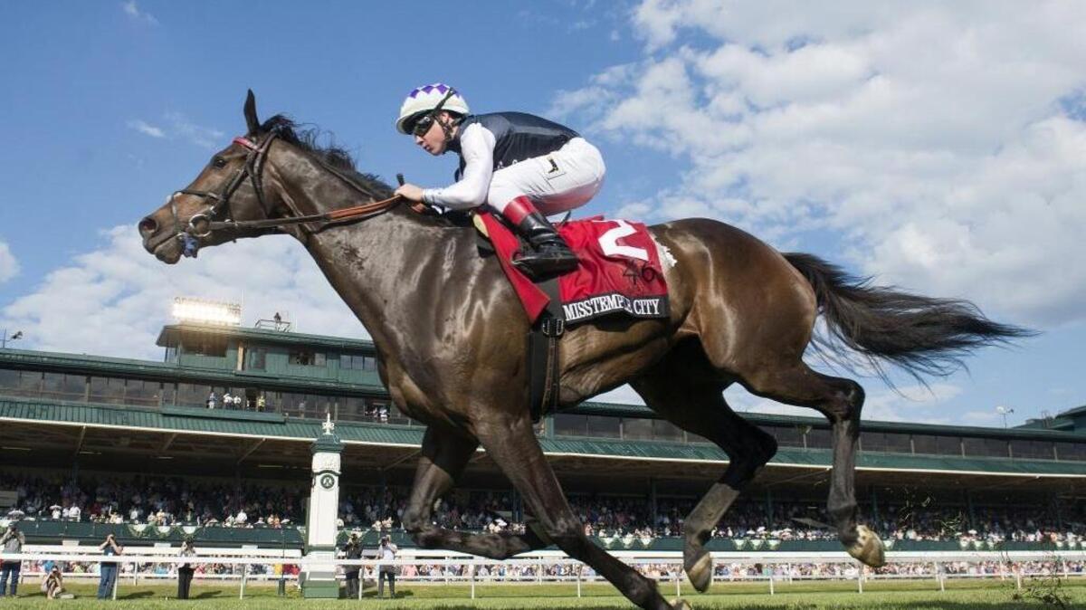 Miss Temple City, winner of the Maker’s 46 Mile at Keeneland last April, is one of five Grade I winners in Saturday’s Shadwell Turf Mile.