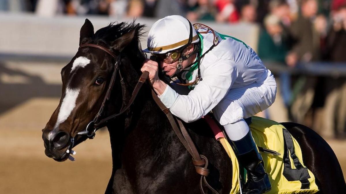 Rachel Alexandra earns the first of what would be nine career graded stakes victory for her career when she won the Grade II Golden Rod Stakes at Churchill Downs on Nov. 29, 2008.