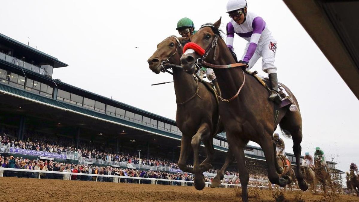Nyquist, front right, with Mario Gutierrez up, finishes ahead of Swipe, left, with Victor Espinoza up, to win the Breeders' Cup Juvenile horse race at Keeneland race track in Lexington, Ky. Nyquist is gearing up for his 3-year-old debut in the seven-furlong San Vicente at Santa Anita on Saturday, Feb. 13, 2016.