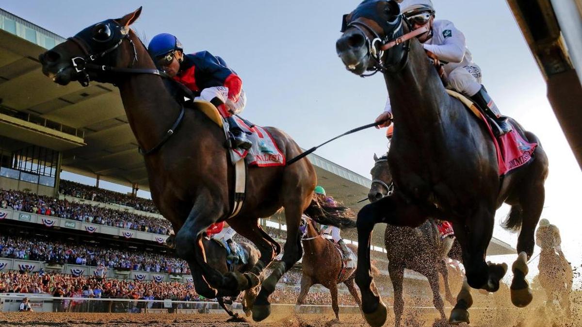Tonalist, left, with Joel Rosario up edges out Commissioner with Javier Castellano up to win the 146th running of the Belmont Stakes horse race, Saturday, June 7, 2014, in Elmont, N.Y.