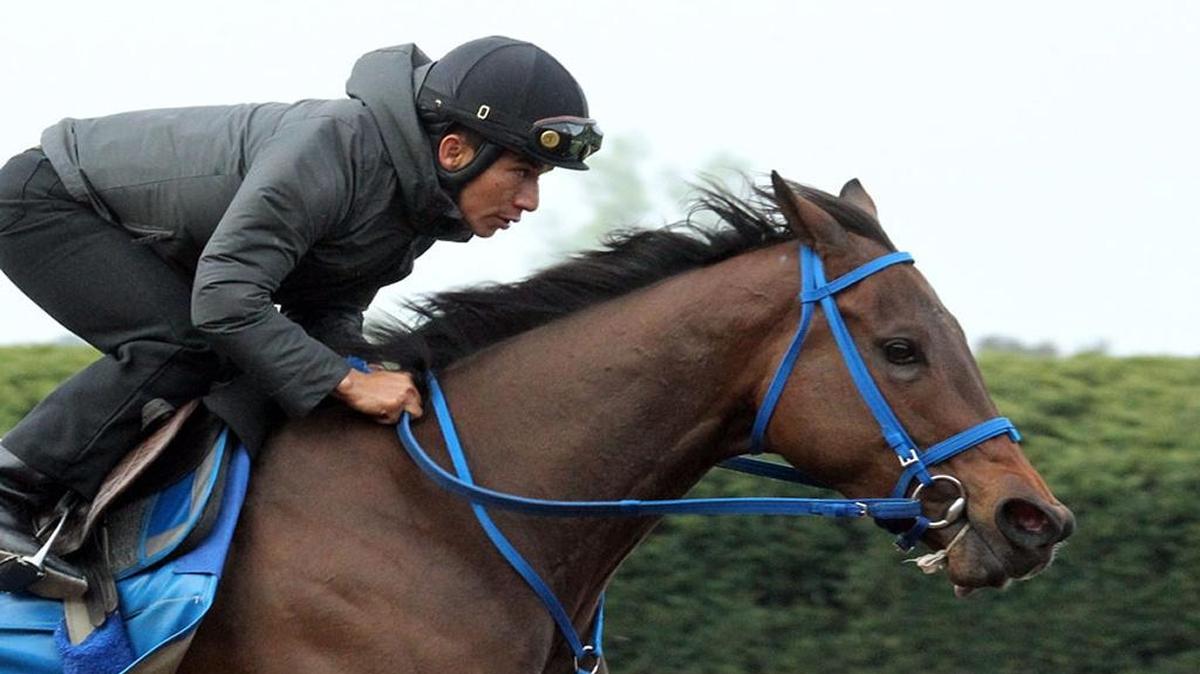 Cathryn Sophia, third in the Ashland Stakes on April 9, breezed 5 furlongs in :59.60 Saturday after the renovation break with Paco Lopez aboard.