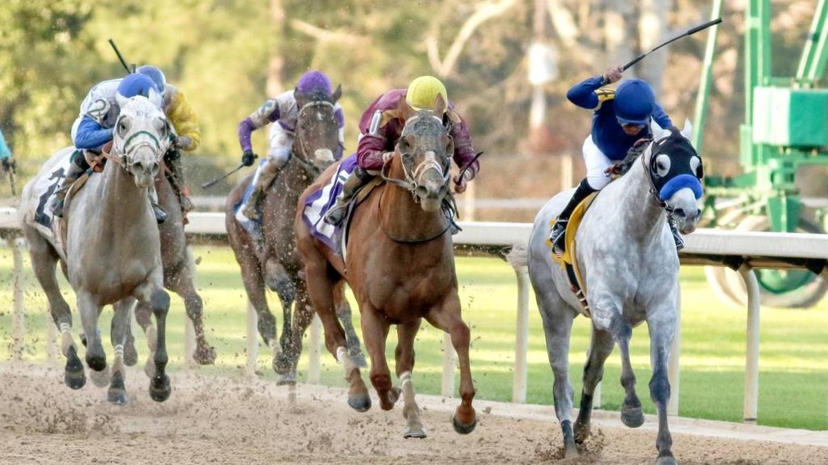 Cupid, far right with Martin Garcia aboard, battled Whitmore and Irad Ortiz Jr., center, down the stretch in front of the rest of the field in the Rebel Stakes at Oaklawn Park in Hot Springs, Ark., on March 19, 2016. Cupid won the race with Whitmore finishing second.