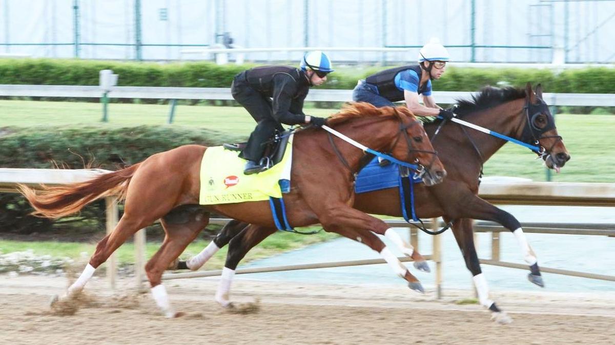 Gun Runner, left, continued his preparation for the Kentucky Derby with a 5-furlong breeze in 1:00 over a fast track Monday morning at Churchill Downs. He was working in company with Gold Hawk.