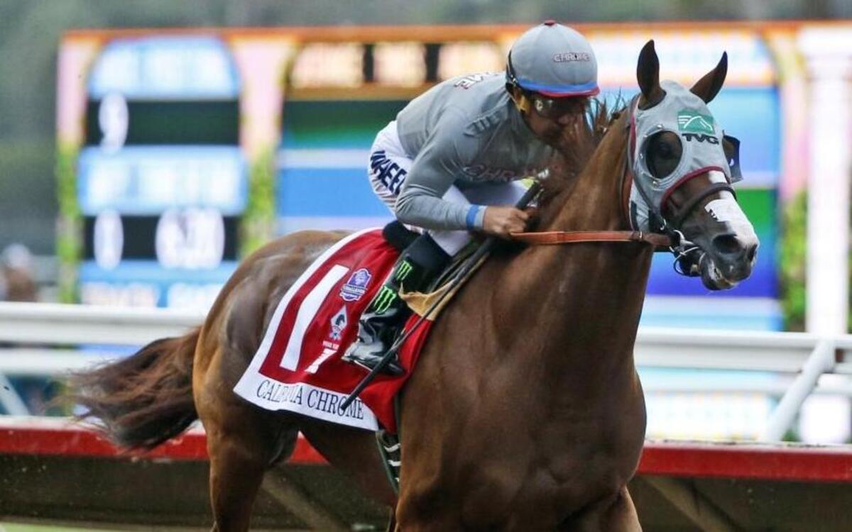 California Chrome is one of three finalists for the 2016 Horse of the Year award, joined by Songbird and Arrogate.