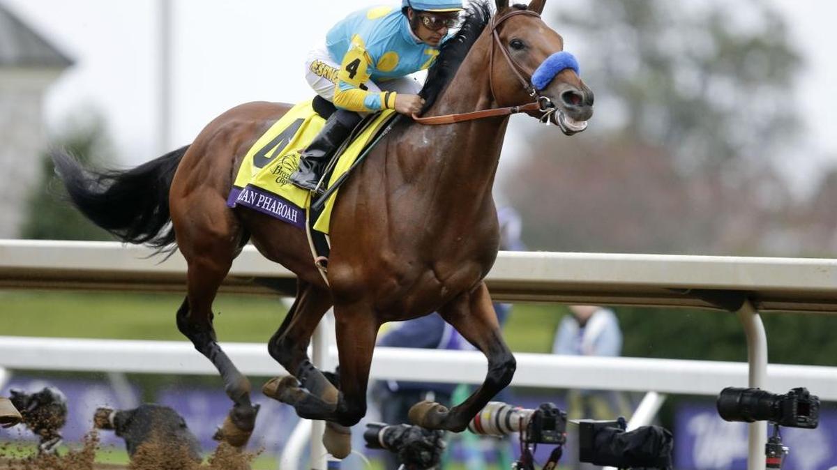 American Pharoah, with Victor Espinoza up, wins the Breeders' Cup Classic horse race at Keeneland race track Saturday, Oct. 31, 2015, in Lexington, Ky.