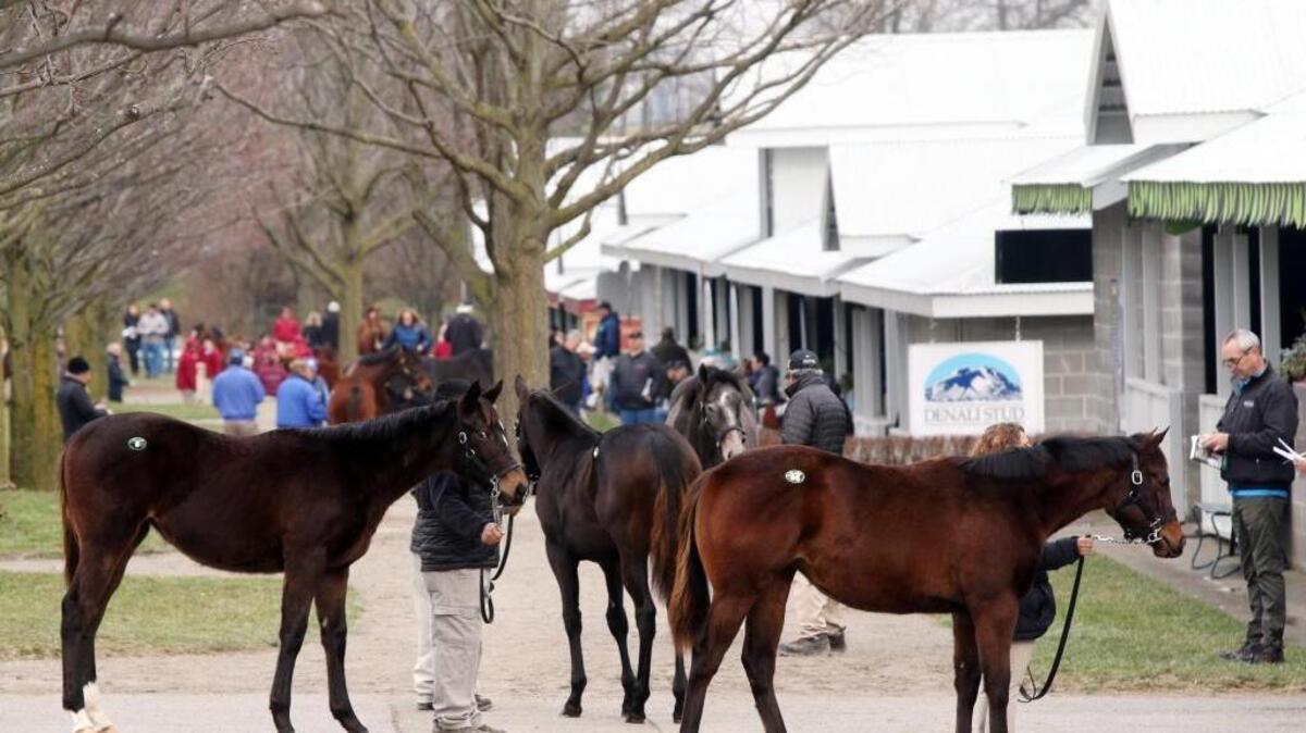 Potential buyers were at Keeneland this weekend to check out horses catalogued for the January Horses of All Ages Sale, which starts Monday.