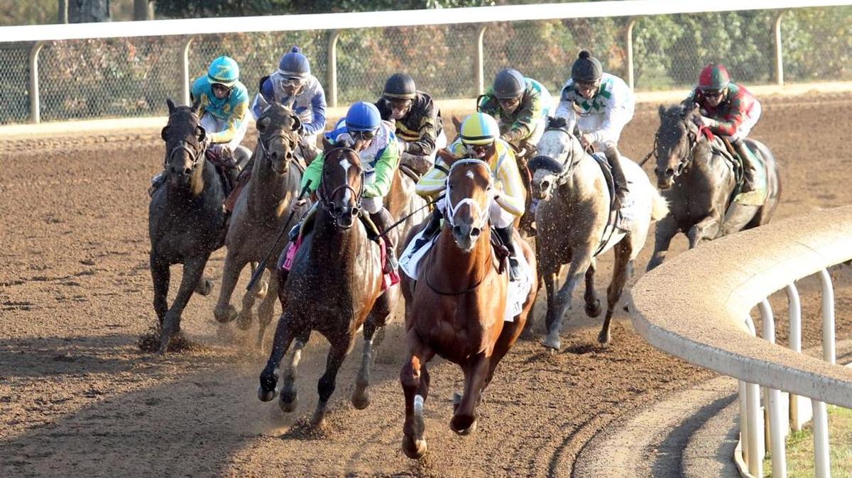 Noble Bird led at the top of the stretch in the Grade II Hagyard Fayette Stakes at Keeneland on Saturday.