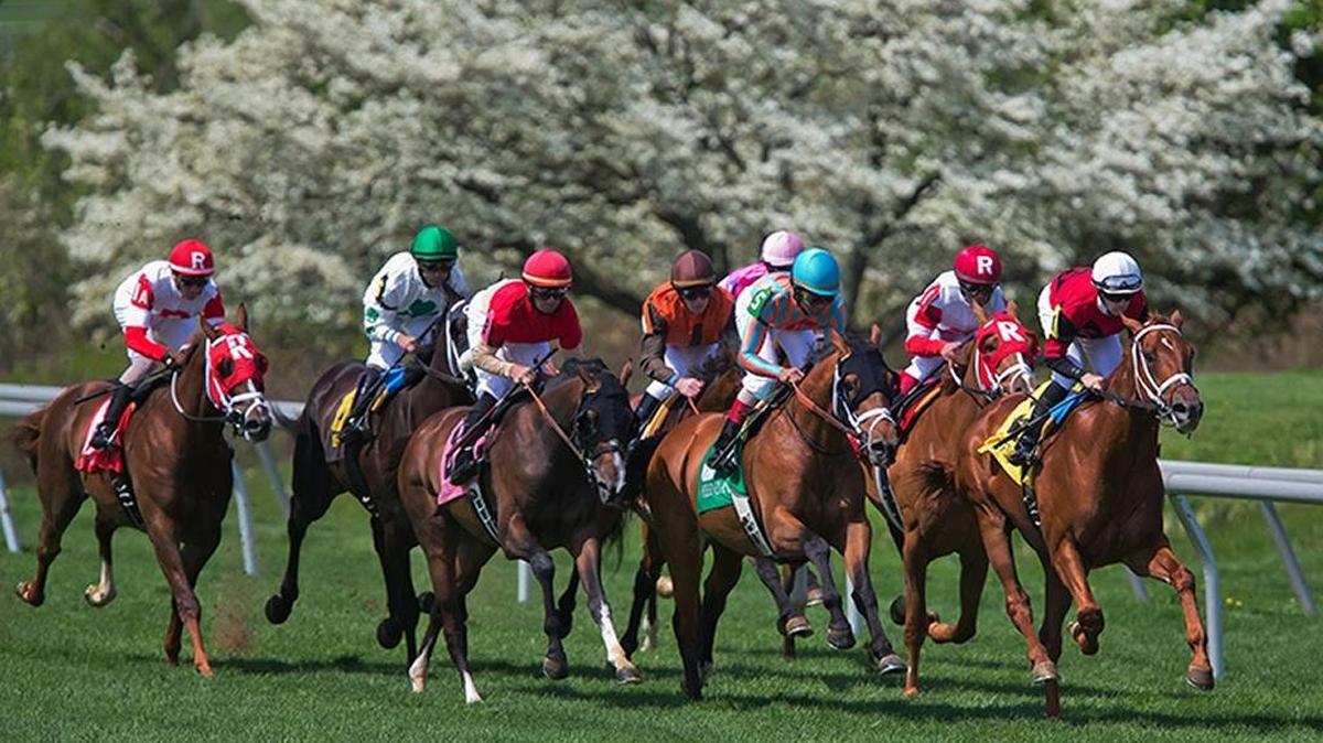 Keeneland opens its Spring Meet on Friday. First post is 1:05 p.m.