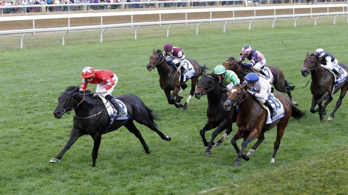Suedois and jockey Danny Tudhope win the Grade 1 Shadwell Turf Mile at Keeneland Race Course in Lexington, Ky., Saturday, Oct. 7, 2017.