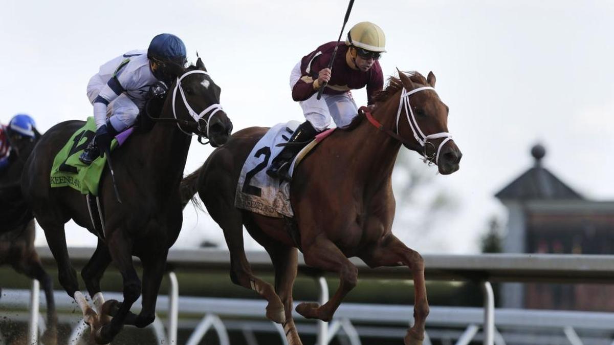 Sheer Drama with Joe Bravo up (2) approached the finish ahead of Stopchargingmaria with Javier Castellano (12) up to win the Madison Stakes, the 9th race at Keeneland Race Course in Lexington, Ky, on April 9, 2016.
