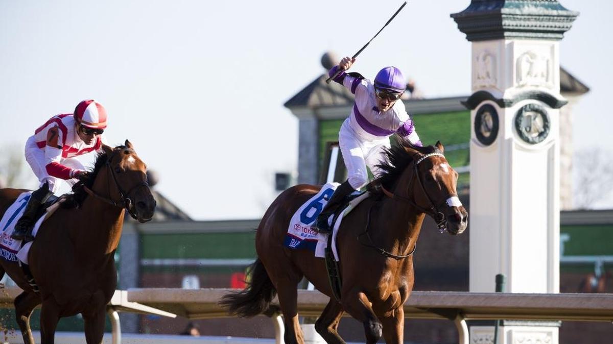 Irap (6) and jockey Julien Leparoux win the 93rd running of the Toyota Blue Grass Stakes at Keeneland last April in Lexington.