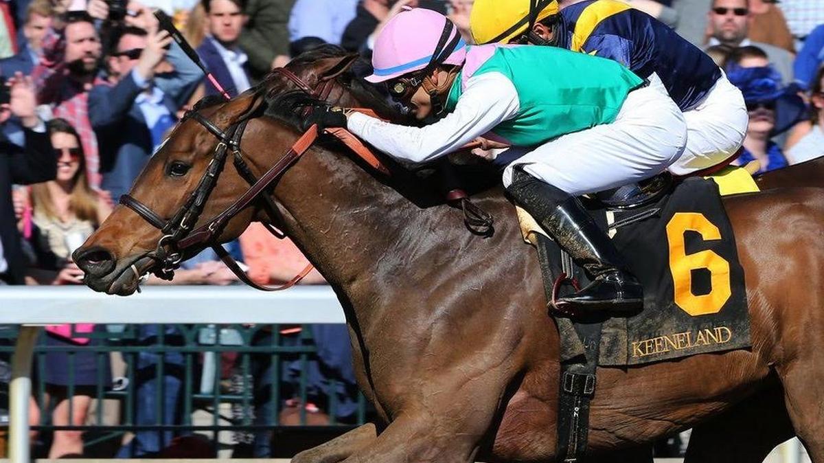 Paulassilverlining, the 9-5 favorite, won the Grade 1 Madison Stakes at Keeneland on Saturday.